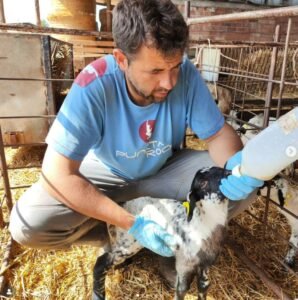 La nostra història al Regió 7